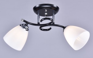 Светильник РС22653/2