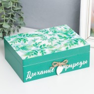 Шкатулка дерево "Веточки - Дыхание природы" 9108163 6,5х20х15 см