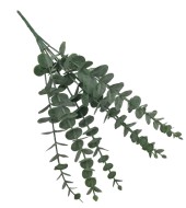 Эвкалипт 4094/2349