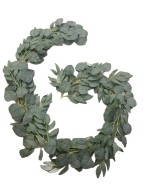 Эвкалипт PL-043/2176