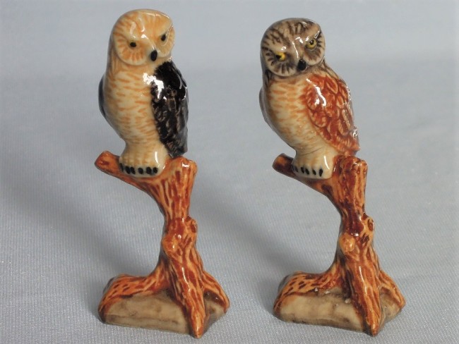 Совы на ветке K013