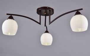 Светильник "Арго" РС22120 BRN+FG/3C