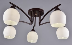 Светильник "Арго" РС22120 BRN+FG/5C