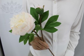 Пион 2 GVC-2577 33 арт.2275-1