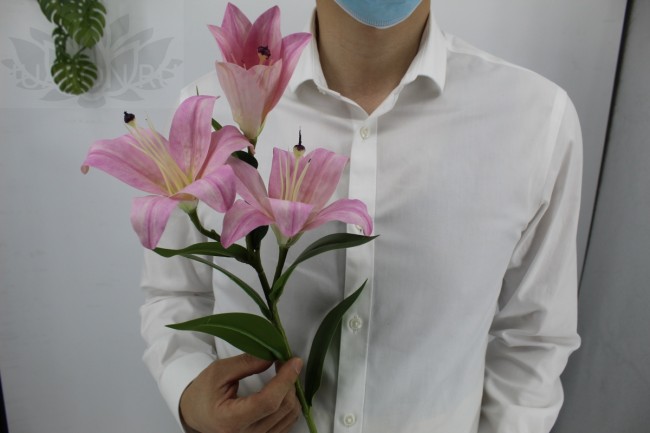 N Лилия 3D арт.2179-2