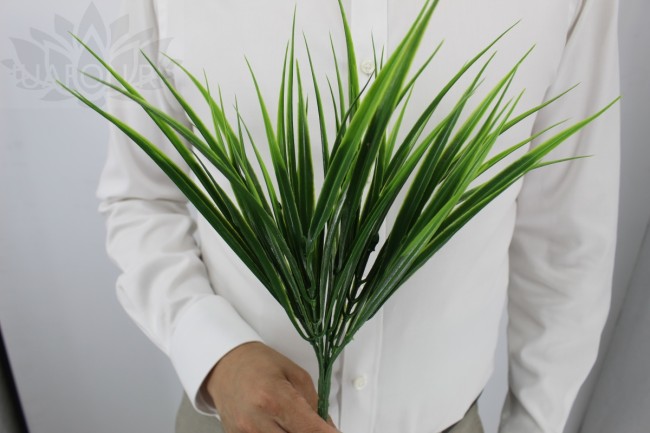 Зелень Осока 2256