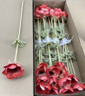 Мак новый 011/1754-2