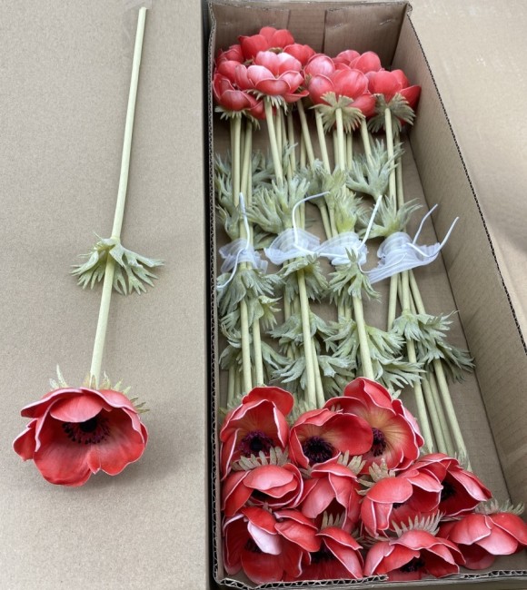 Мак новый 011/1754-2