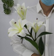 Лилия 3D арт.2179