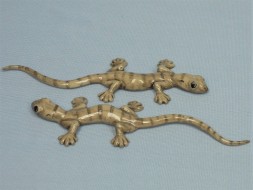 Серые ящерицы гекконы K339