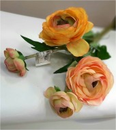 Цветок новый 353