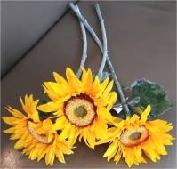 Подсолнух GT0100215M ГН002411