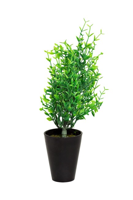 Иглица в горшочке 25см 8J-18CK0021