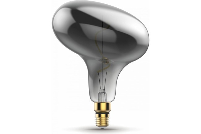 Лампа 165802008 LED Vintage Filament Flexible FD180 6W E27 220*280mm Gray 2400K