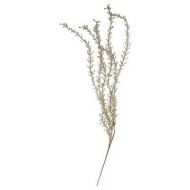 ВЕТКА ДЕКОРАТИВНАЯ ВЫСОТА=115 СМ 366-902