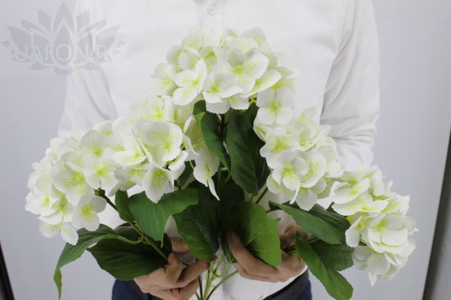 Гортензия арт 1888