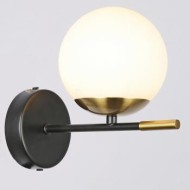 Светильник настенный IL0059-1W-79 BK COP