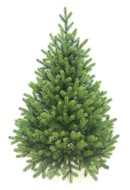 Ель настенная Изящная 0,9м ЕНСИ 09