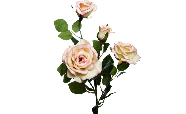 Роза чайная ГАРДА ДЕКОР 9F27009M-4303 80см