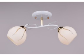 Светильник РС20054 WT+FG/2C