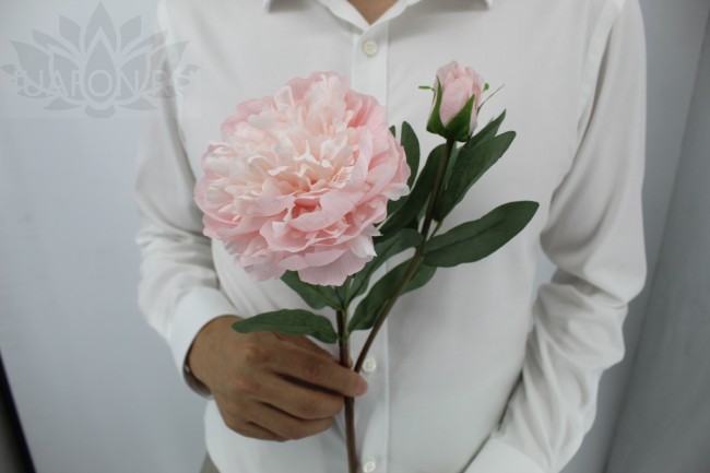 Пион GVC-037 58/2272