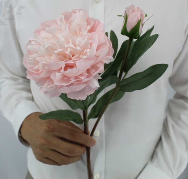 Пион GVC-037 58/2272