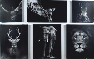 Модульная картина 125*80/6 S-0644 01103297