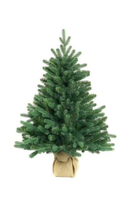 Ель настольная Европейская  0,6 м ЕЕС 06