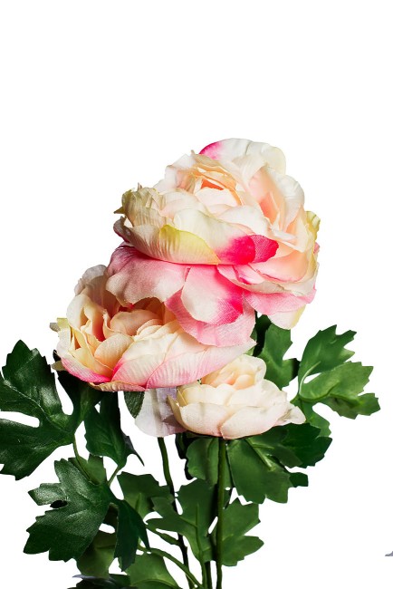 Пион розовый 8J-13GS004-1 62 см