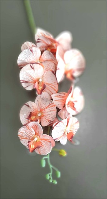 В10389 Орхидея 3D бархат.накат"Флавия"Н102см