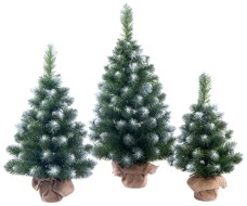 Ель настольная Канадская  0,9м пенек+мешковина ЕНК 09