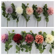 Цветок новый 914