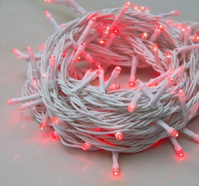 Гирлянда "Метраж" 10м, LED-100-24B, красный 1672042