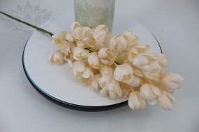 Цветок Феникса арт 1887-1