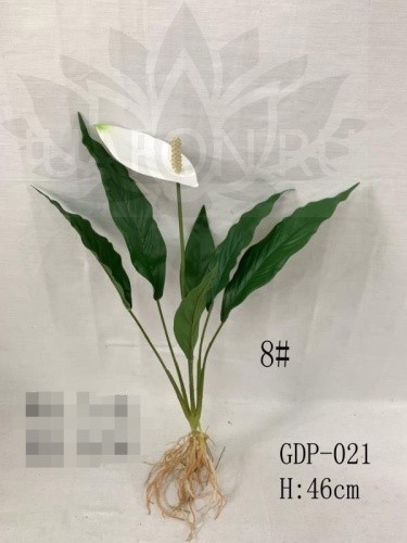 Кувшинка 566