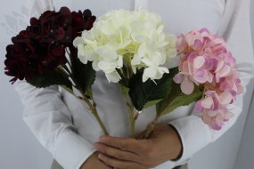 Гортензия арт 1069