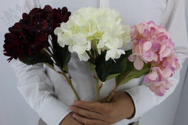 Гортензия арт 1069