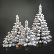 Ель настольная Северная 0,7м (пенек+мешковина) ЕНС 07