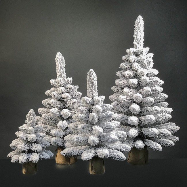 Ель настольная Северная 0,7м (пенек+мешковина) ЕНС 07