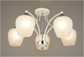 Люстра 3586/8 WT