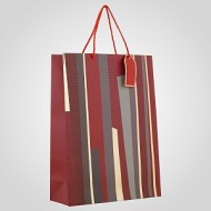 Подарочный Пакет в полоску Красный большой 10405-9красн