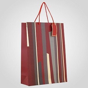 Подарочный Пакет в полоску Красный большой 10405-9красн