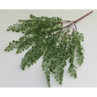 Бук.петрушки силикон 13в.Н46см(10шт) Б9239 Б/С