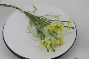 Цветок космоса 1422