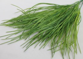 Бук.травки овсяницы 7в.Н32см Б10679