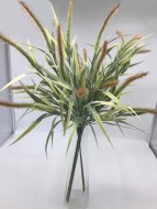 Новый осока 2572