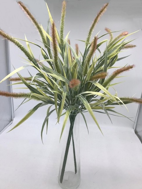 Новый осока 2572