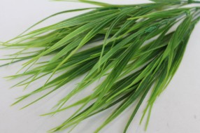 Букет осока летняя 7в.Н40см(40шт)	Б10628 Б/С