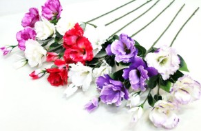 Эустома Сапфир (российск.селекц.) В10523 5г.Н72см