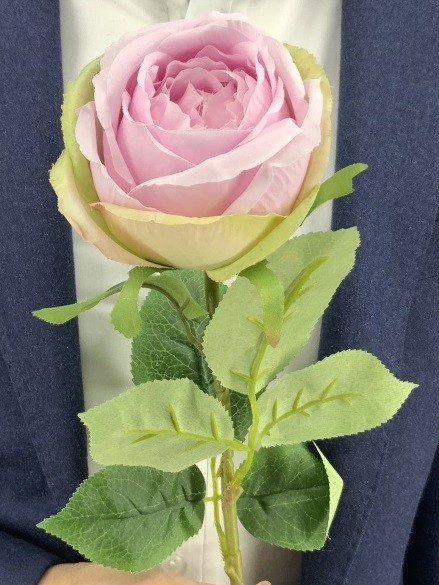 Б Роза 061/2106-5